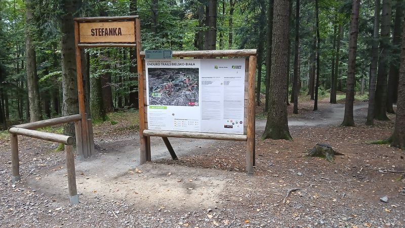 Plik:Stefanka.jpg