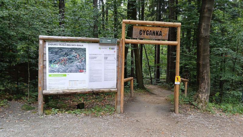 Plik:Cyganka.jpg